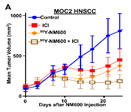 Figure C. In mice bearing MOC2 HNSCC flank tumors, we observe a cooperative effect of 50 �Ci 90Y-NM600 and anti-CTLA-4 (ICI) resulting in improved tumor control.